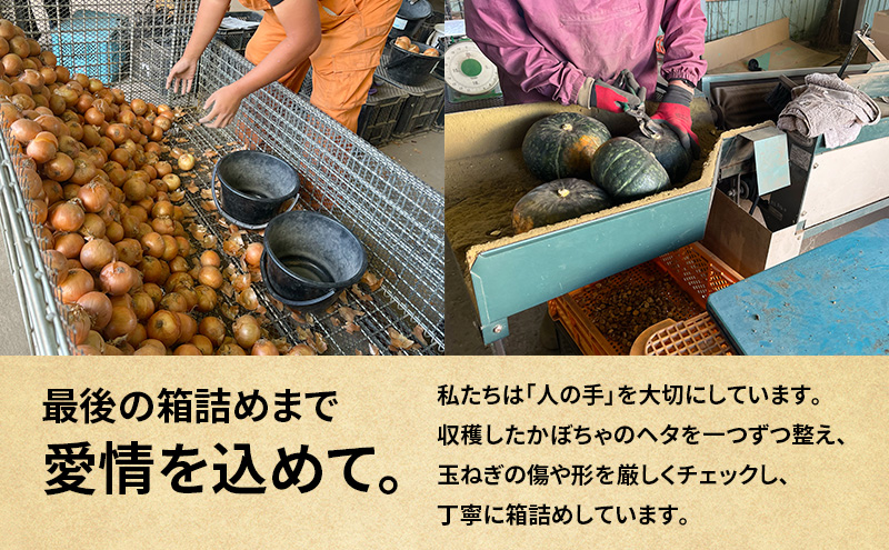 【2026年発送先行予約】十勝幕別町産 かぼちゃ2個・玉ねぎ4k
