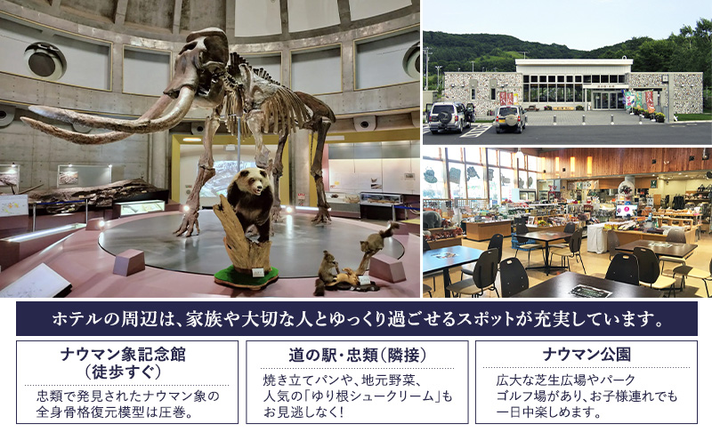 十勝ナウマン温泉 ホテルアルコ 一泊二食ペア宿泊券 スタンダード 2名様分【 北海道 幕別町 十勝 ナウマン温泉 ホテルアルコ 宿泊券 2名 ペア 一泊二食 温泉 旅行 観光 ギフト 】