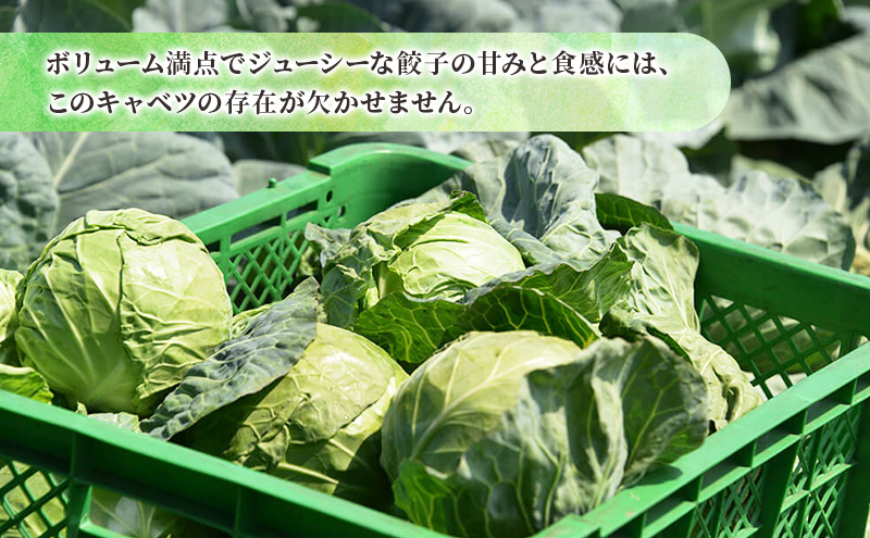 ボリューム満点 手作り冷凍餃子 60個 (15個×4袋)［錦華園］【 野菜 キャベツ たっぷり 厚い 手包み 手作り もちもち モチモチ 汁 町中華 中華 北海道 十勝 幕別 】