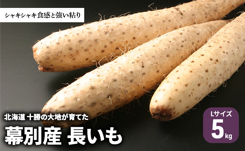 北海道 十勝の大地が育てたシャキシャキ食感と強い粘り 幕別産 長いも Lサイズ 5kg ［木川商店］【 長いも 長芋 ながいも ナガイモ とろろ 芋 いも 野菜 10kg 5kg 産地直送 旬 濃厚 北海道 十勝 幕別 】
