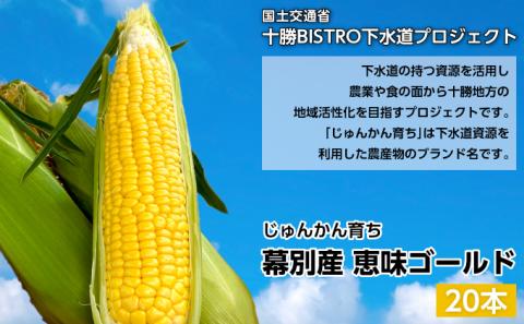 北海道 十勝 幕別産 とうもろこし 恵味ゴールド 20本「じゅんかん育ち」北王農林［十勝BISTRO下水道プロジェクト］【 とうもろこし とうきび コーン 野菜 フルーツ 甘い 】