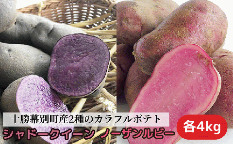 十勝幕別町産2種のカラフルポテト8kg（シャドークイーン4kg・ノーザンルビー4kg）【渡邉農場】[2024年11月出荷開始] 野菜 じゃがいも ジャガイモ
