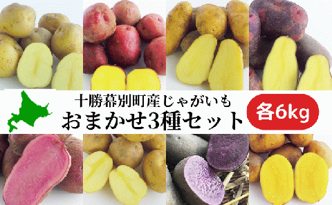 十勝幕別町産じゃがいも18kg（おまかせ3種各6kg）【渡邉農場】[2025年11月出荷開始] 野菜 ジャガイモ