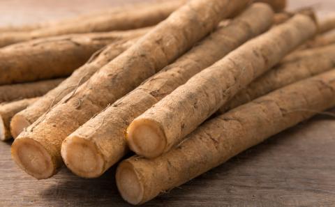 十勝 幕別町産 ごぼう5kg (ML混合) 渡邉農場 [2026年11月出荷開始]【 野菜 根菜 ごぼう ゴボウ 牛蒡 北海道 十勝 幕別 】