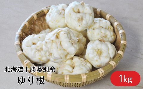 十勝幕別 忠類ゆり根 1kg［M～2L］7～12玉【2025年10月出荷先行予約】【 北海道 幕別町 忠類 十勝 高級食材 お正月 料理 】 野菜 根菜