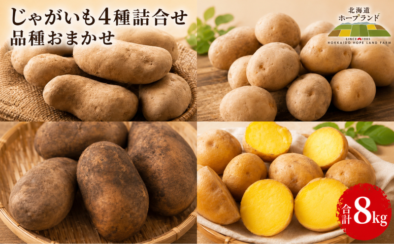 【先行予約】じゃがいも4種詰合せ（品種おまかせ合計8kg）