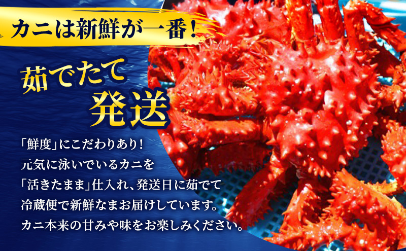［冷蔵便］茹でたて直送！北海道産 朝茹で 花咲ガニ 約700g×1尾【 かに カニ 蟹 花咲ガニ 花咲蟹 海鮮 魚介 海の幸 海産物 家庭用 冷蔵 北海道 十勝 幕別 】