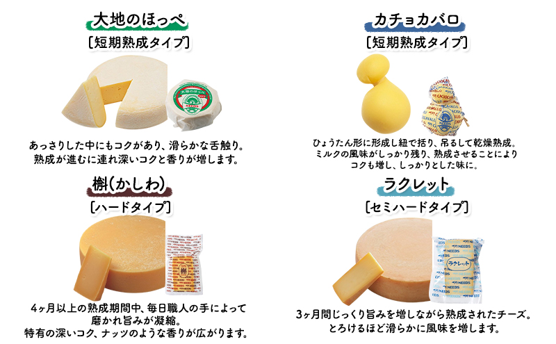 【2026年1月発送開始】北海道 十勝 チーズアソート11種 / プレミアム食べ比べセット 4回定期便(2ヶ月ごと)[チーズ工房NEEDS]【 隔月 槲 ラクレット モッツァレラ 大地のほっぺ さけるチーズ ミルクジャム 】[№5749-1779]