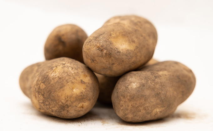 先行予約/2026年秋発送 北海道 十勝 幕別産 じゃがいも メークイン 約5kg 【横山農園】 野菜 根菜 食材 しっとり 崩れにくい 煮込み料理 炒め物 肉じゃが カレー シチュー 北海道のジャガイモ