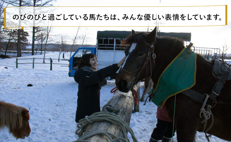 【北海道 十勝 幕別町 】十勝開拓の礎 馬そりで冬の森へ［ ペア チケット ］【 牧場 見学 ツアー 体験型 旅 旅行 イベント 冬休み 自由研究 移住 自然 放牧 ガイド 北海道 十勝 幕別 】
