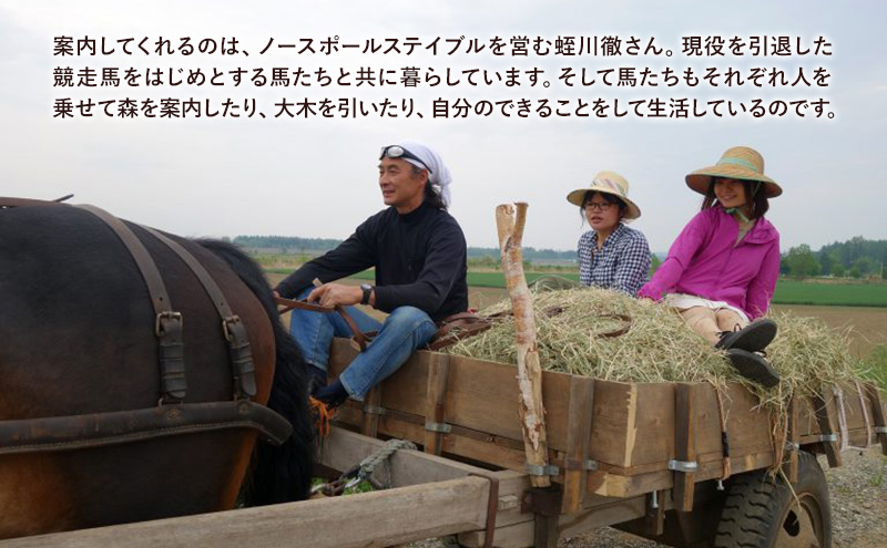 【北海道 十勝 幕別町 】十勝開拓の礎 牧草馬車にゆられて［ ペア チケット ］【 牧場 見学 ツアー 体験型 旅 旅行 イベント 夏休み 自由研究 移住 自然 放牧 ガイド 北海道 十勝 幕別 】