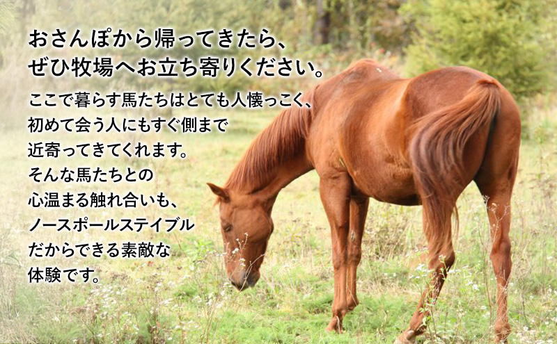 【北海道 十勝 幕別町 】ポニーと一緒におさんぽしながら森林浴カフェ［ ペア チケット ］【 牧場 見学 ツアー 体験型 旅 旅行 イベント 夏休み 自由研究 移住 自然 放牧 ガイド 北海道 十勝 幕別 】