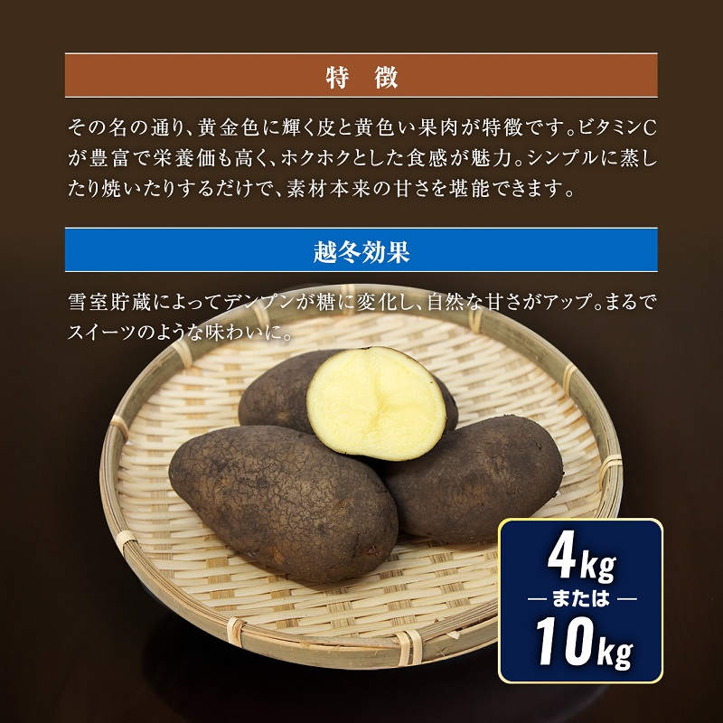 北海道産 熟成じゃがいも 北海黄金 10kg  期間限定 雪室貯蔵 十勝産 ジャガイモ じゃが芋 いも 甘い