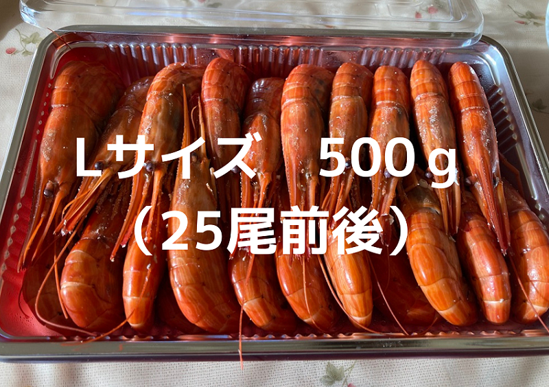 北海縞海老 シマエビ 北海縞えび 国産 500g 25尾 Lサイズ しまえび 冷凍 えび エビ ボイル済み