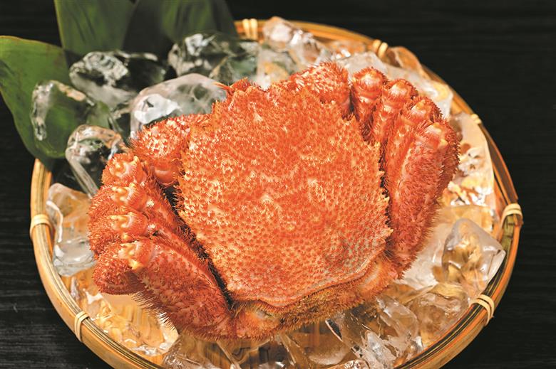 活ゆで毛蟹 2尾で700～770g【冷蔵】毛ガニ 蟹 北海道かに 北海道カニ 国産カニ かに 毛蟹 けがに