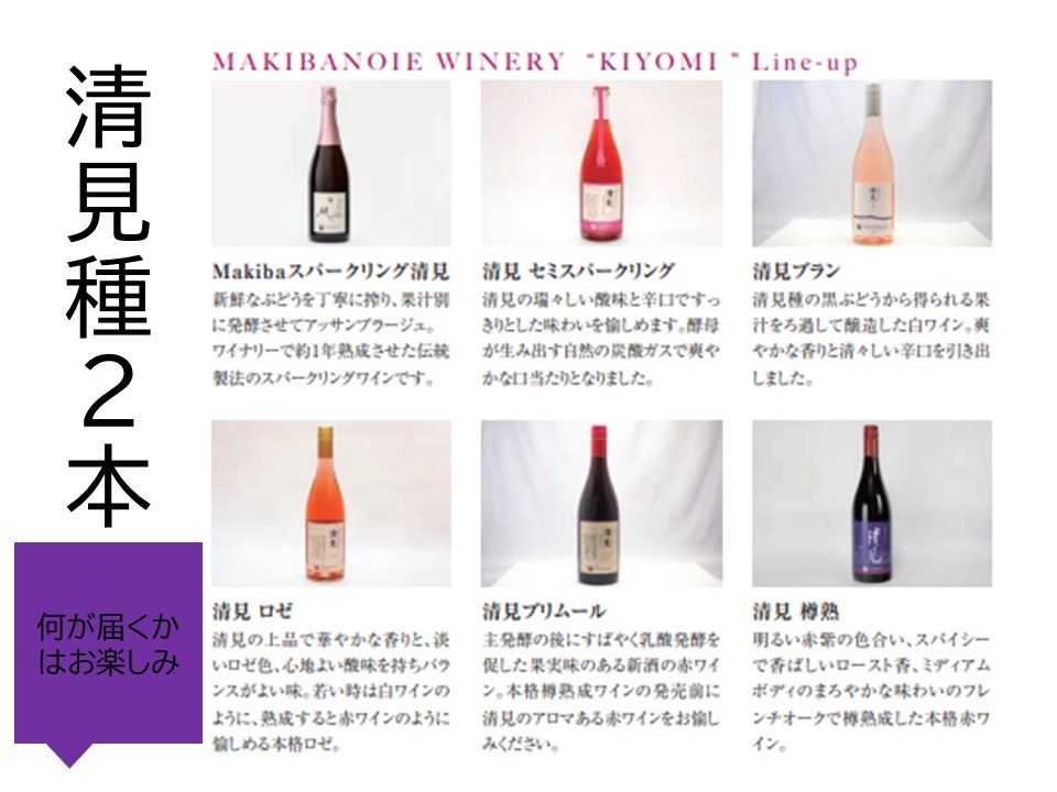 【十勝まきばの家ワイナリー】北海道池田町清見産清見種ワイン2本セット【Story of Kiyomi】