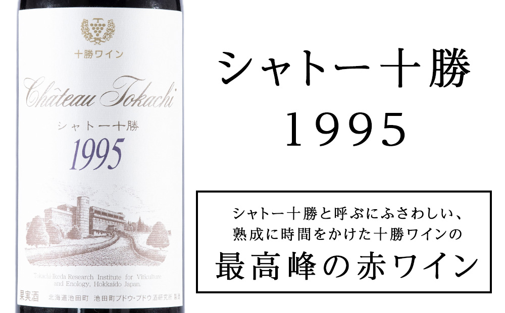 十勝ワイン シャトー十勝 1995年 720ml 北海道池田町 ビンテージ 赤ワイン 数量限定 ヴィンテージ