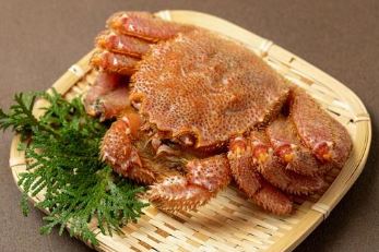 活ゆで毛蟹　2尾で1050～1100g【冷蔵】毛ガニ 毛かに 国産 北海道産
