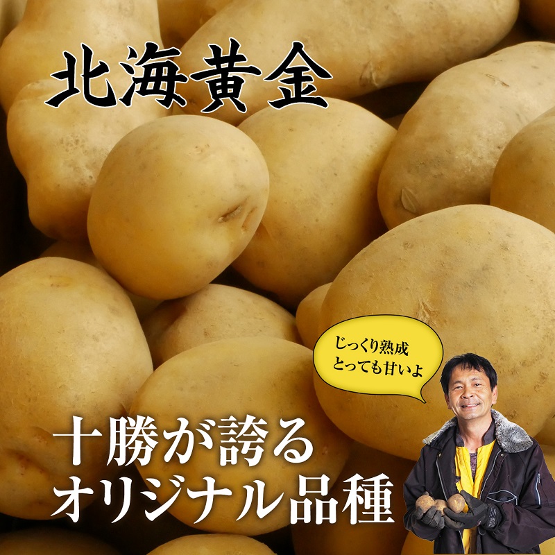 北海道産 熟成じゃがいも 北海黄金 4kg  期間限定 雪室貯蔵 十勝産 ジャガイモ じゃが芋 いも 甘い