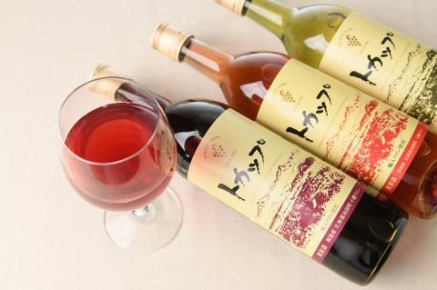 十勝ワイン トカップ12本セット（赤・白・ロゼ）瓶熟成 樽熟成 北海道ワイン 池田町