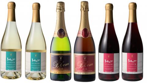 十勝ワイン スパークリング6本セット（4種類） ブルーム トカップ 北海道ワイン 北海道池田町 食前酒 お祝い パーティー