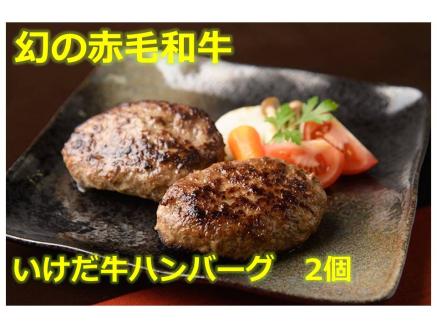 北海道十勝名物 豚丼の具といけだ牛ハンバーグ計4個 冷凍 小分け 池田牛 テレビで紹介 ブランド牛 牛肉 お肉 北海道牛 国産 北海道 幻の赤毛和牛 タレ付き