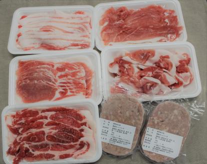 北海道 黒豚1頭しゃぶしゃぶセットA1300g（豚肉1000g・ハンバーグ2個付き） 冷凍 小分け ロース 肩ロース バラ モモ ハンバーグ 国産 黒豚 シャブシャブ