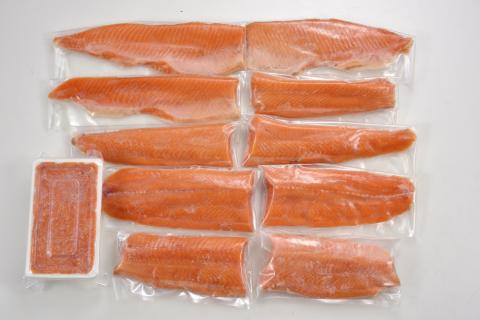 【2月中旬発送】国産ドナルドサーモン(生食用) 1800g 中落ち付 小分け ふるさと納税 サーモン 刺身 ふるさと納税 鮭 冷凍 さけ サケ 海鮮 魚 生食サーモン