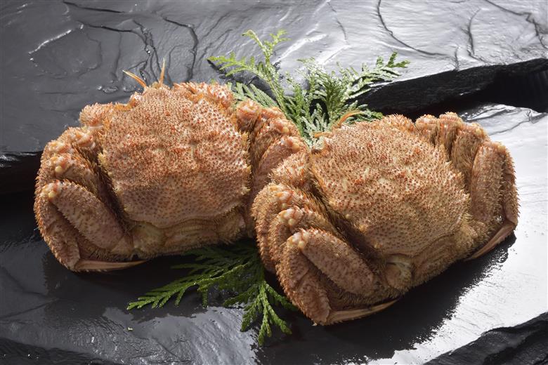 活ゆで毛蟹 2尾で700～770g【冷蔵】毛ガニ 蟹 北海道かに 北海道カニ 国産カニ かに 毛蟹 けがに