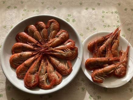 北海縞海老 シマエビ 北海縞えび 国産 500g 33尾前後 しまえび 冷凍 えび エビ ボイル済み Mサイズ