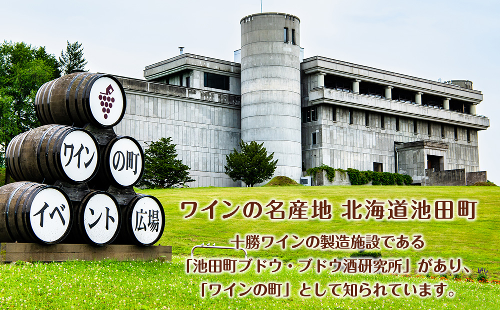 北のサングリアサワー 赤ワインベース 24本 サングリア ワイン サワー 酒 セイコーマート セコマ Secoma 池田町 北海道 酒 リキュール