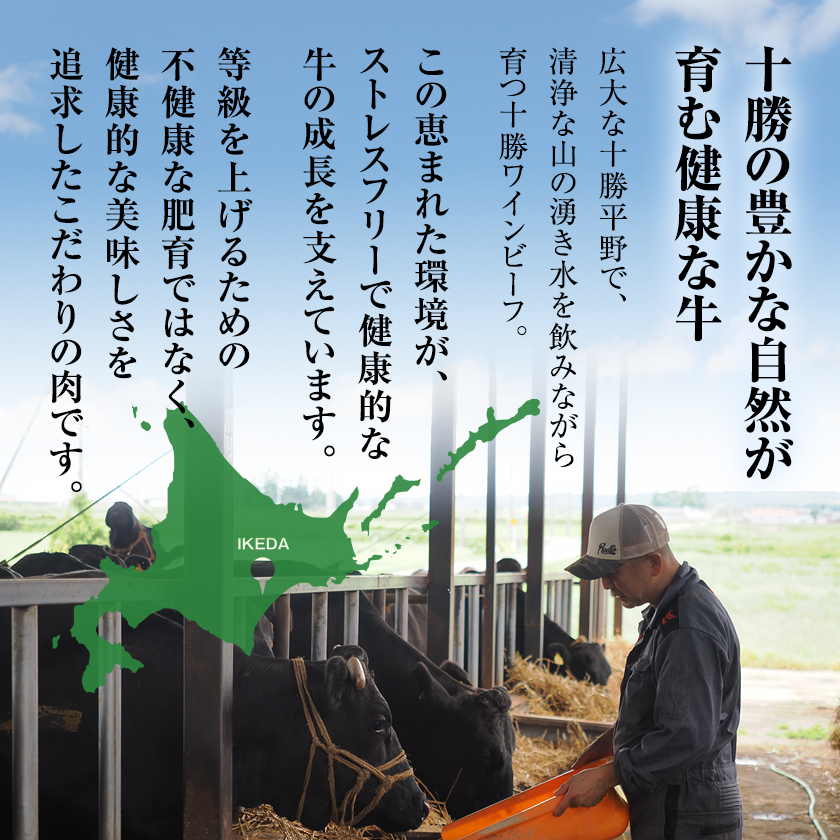 黒毛和牛 ローストビーフ ブランド牛 十勝ワインビーフ 国産 北海道牛