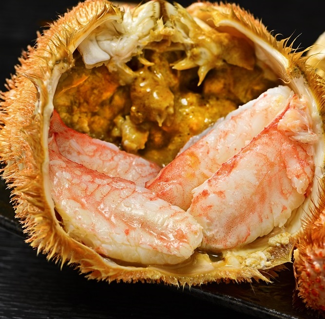 【通年】活ゆで毛蟹（特大）2尾で計1500g【冷凍】国産 北海道産 かに 毛蟹 毛ガニ 毛がに LL