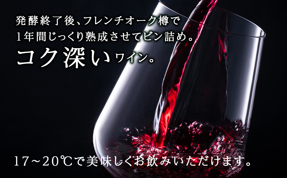 十勝ワイン 清見（キヨミ）2004準グレートビンテージ 720ml 北海道池田町 ビンテージ 赤ワイン 数量限定