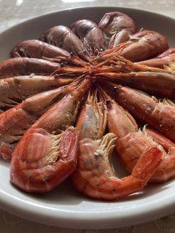 北海縞海老 シマエビ 北海縞えび 国産 500g 33尾前後 しまえび 冷凍 えび エビ ボイル済み Mサイズ