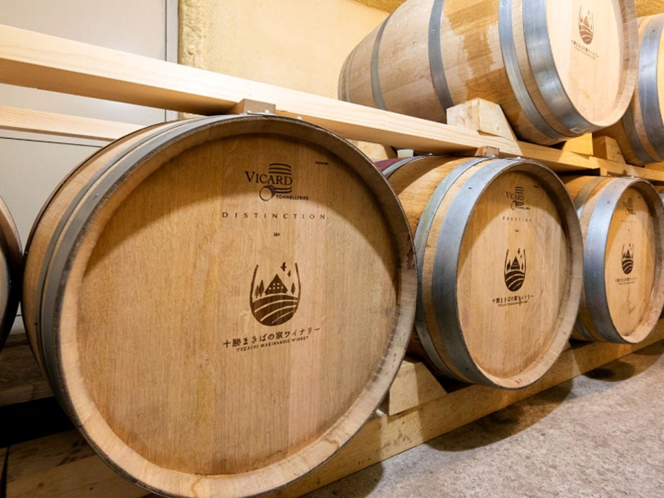 【十勝まきばの家ワイナリー】北海道池田町清見産清見種ワイン2本セット【Story of Kiyomi】