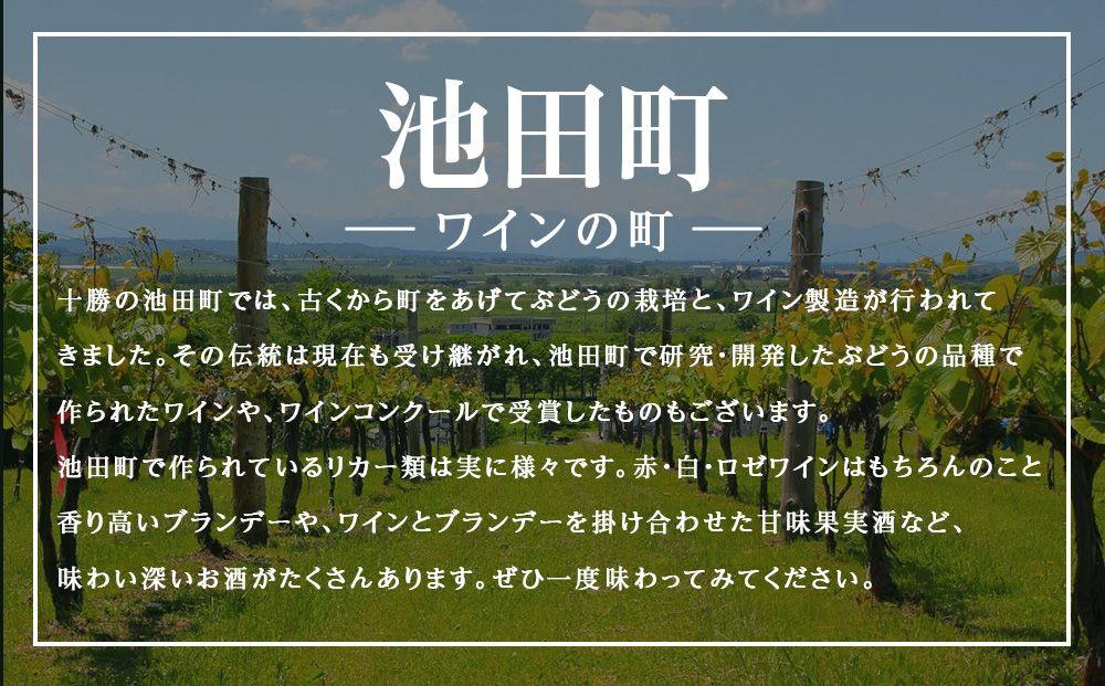 十勝ワイン 清見（キヨミ）2004準グレートビンテージ 720ml 北海道池田町 ビンテージ 赤ワイン 数量限定