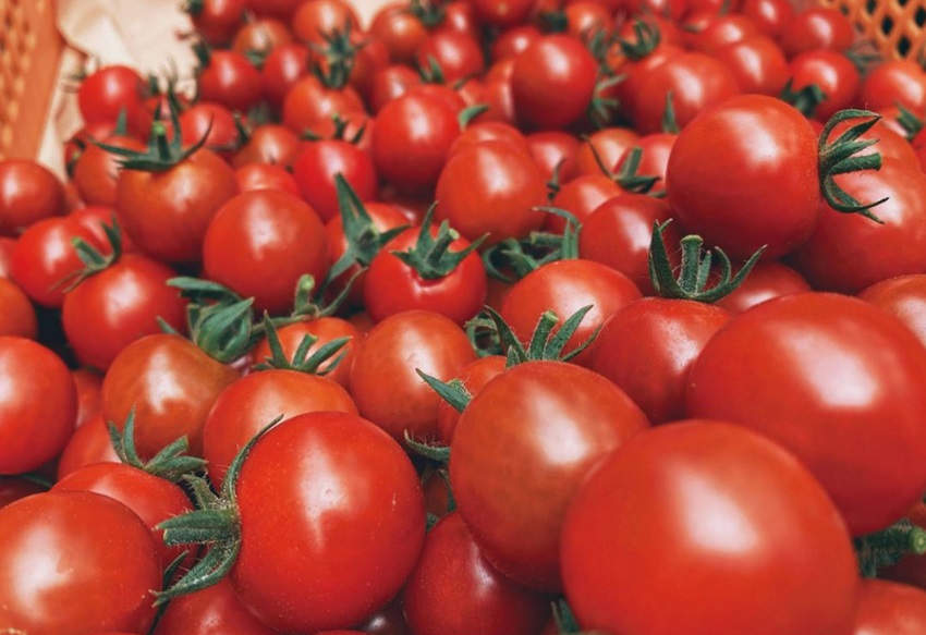 【十勝まきばの家ワイナリー】北海道 十勝の美味しいミニトマトを濃~いジュースにしました