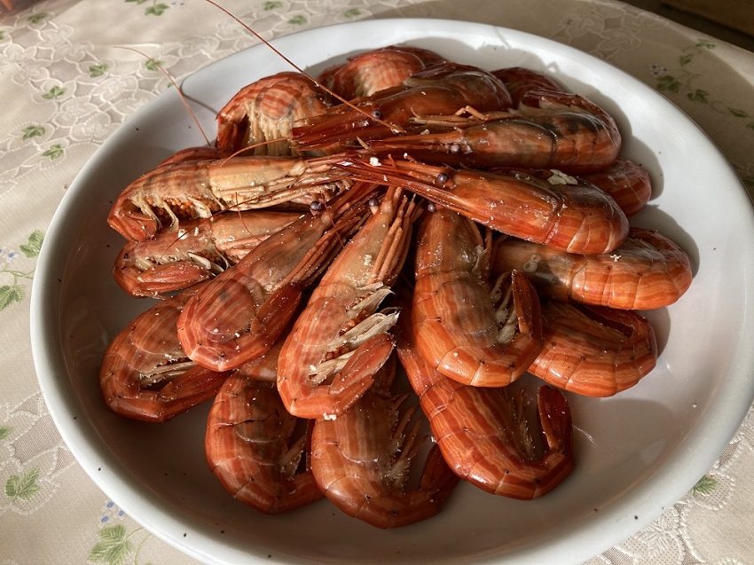 北海縞海老 シマエビ 北海縞えび 国産 500g 25尾 Lサイズ しまえび 冷凍 えび エビ ボイル済み