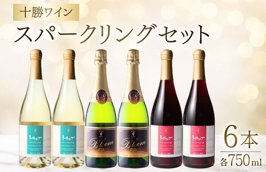 十勝ワイン スパークリング6本セット（3種類）  ブルーム トカップ 北海道ワイン 北海道池田町 食前酒 お祝い パーティー スパークリング