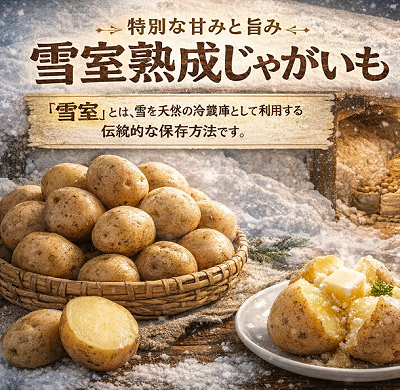 北海道産 熟成じゃがいも とうや 4㎏ 期間限定 雪室貯蔵 十勝産 ジャガイモ じゃが芋 いも 甘い