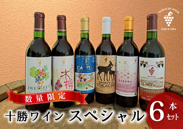 【数量限定】十勝ワインスペシャル6本 特別醸造 限定ラベル 赤ワイン 北海道池田町