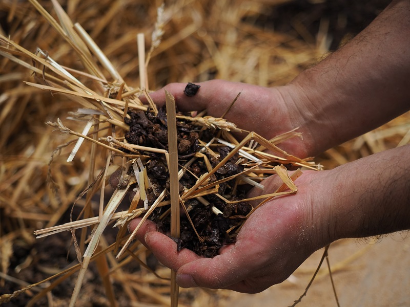 黒毛和牛 ステーキ 極上サーロイン720g（180ｇ×4枚）ブランド牛 十勝ワインビーフ 国産牛 北海道牛