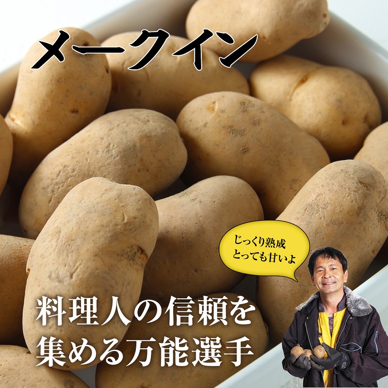 北海道産 熟成じゃがいも メークイン 4kg  期間限定 雪室貯蔵 十勝産 ジャガイモ じゃが芋 いも 甘い