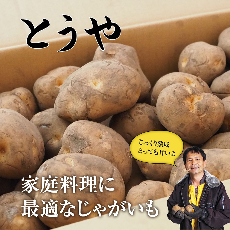 北海道産 熟成じゃがいも とうや 4㎏ 期間限定 雪室貯蔵 十勝産 ジャガイモ じゃが芋 いも 甘い