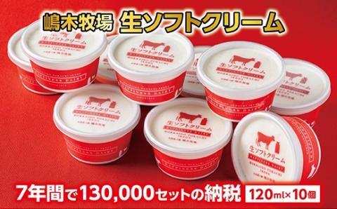北海道 牧場の生ソフトクリーム 10個 アイスクリーム アイス スイーツ 池田町 ジェラート ギフト ソフトクリーム 120ml×10個　国産