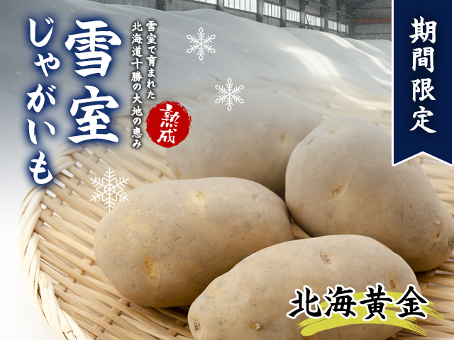 北海道産 熟成じゃがいも 北海黄金 10kg  期間限定 雪室貯蔵 十勝産 ジャガイモ じゃが芋 いも 甘い