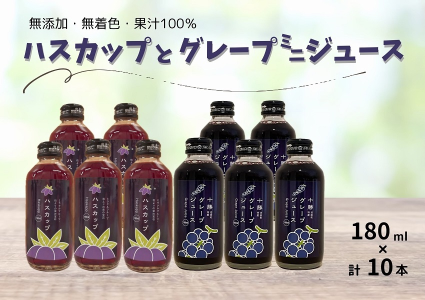 ぶどうとハスカップのミニジュース