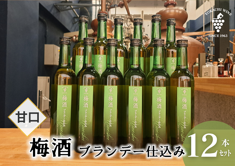 梅酒 ブランデー仕込み 500ml×12本 梅酒 ブランデー 甘口 原酒 熟成 フレンチオーク樽