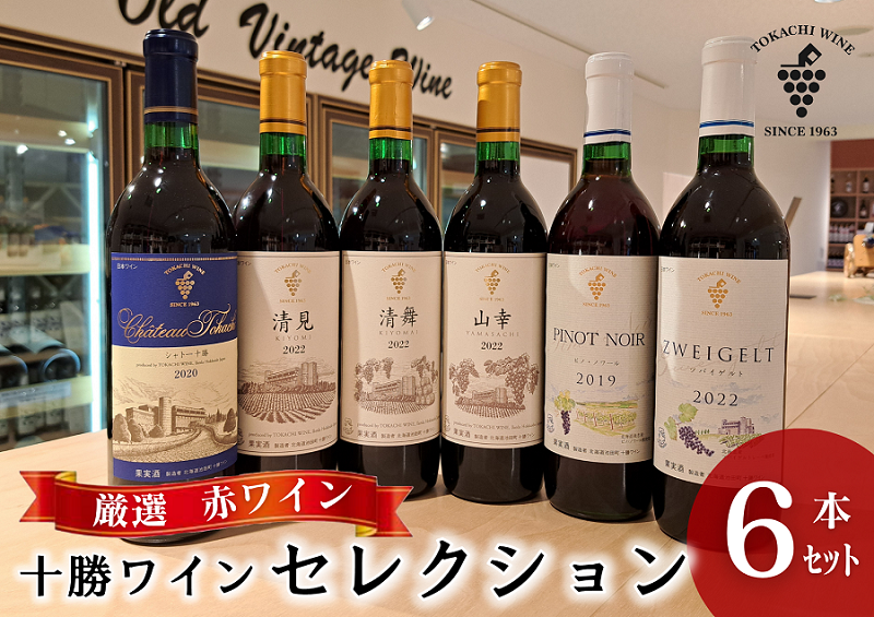 【厳選赤ワイン】十勝ワイン6本セレクション 北海道池田町 赤ワイン 本格派 十勝ワイン ビンテージ 赤ワインセット
